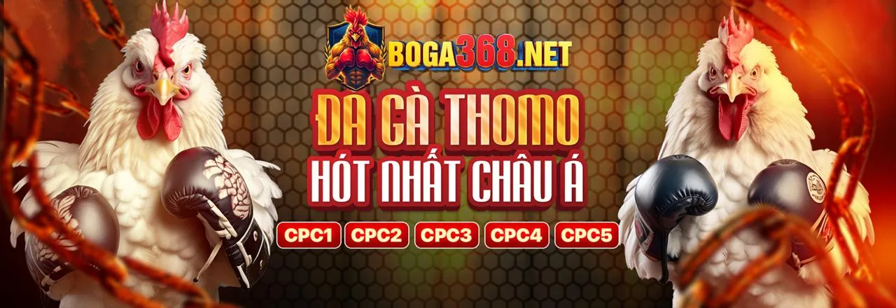 Banner ưu đãi mới nhất từ Tiếp Thomo Hôm Nay