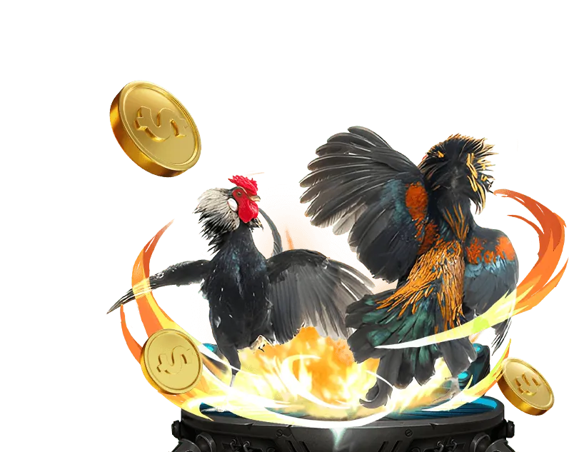 Lựa chọn nền tảng cá cược đá gà Thomo uy tín